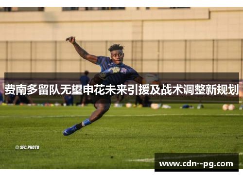 费南多留队无望申花未来引援及战术调整新规划