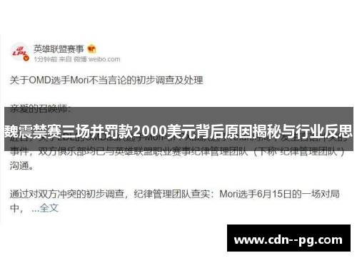魏震禁赛三场并罚款2000美元背后原因揭秘与行业反思