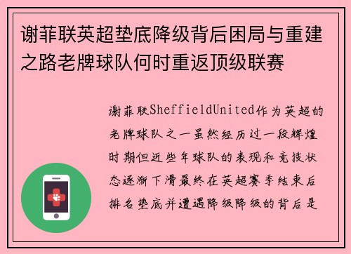 谢菲联英超垫底降级背后困局与重建之路老牌球队何时重返顶级联赛 谢菲联英超垫底降级背后困局与重建之路老牌球队何时重返顶级联赛